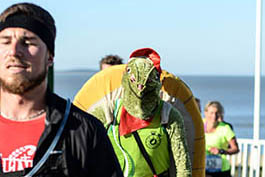 marathon Royan Charente-Maritime