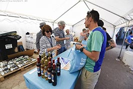 marathon Royan Charente-Maritime