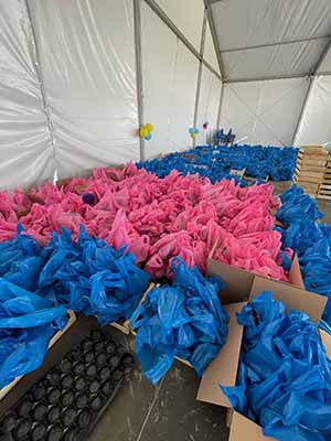 marathon Royan Charente-Maritime