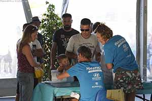 marathon Royan Charente-Maritime