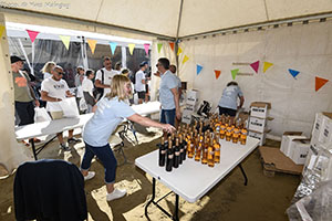 marathon Royan Charente-Maritime