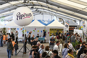 marathon Royan Charente-Maritime