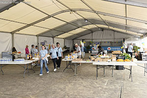 marathon Royan Charente-Maritime