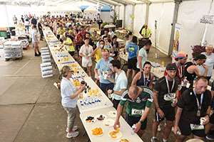 marathon Royan Charente-Maritime