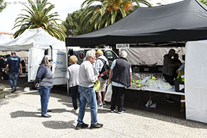 marathon Royan Charente-Maritime