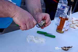 marathon Royan Charente-Maritime