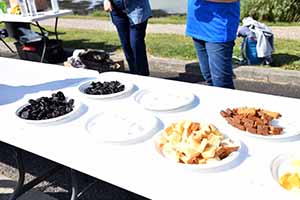 marathon Royan Charente-Maritime