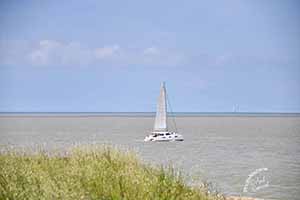 marathon Royan Charente-Maritime